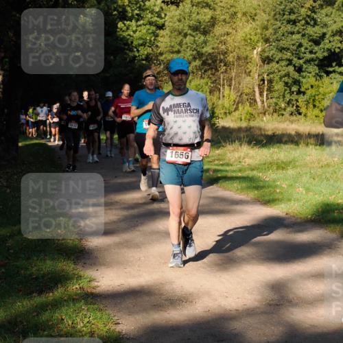 28.09.2025 - 33. Volkslauf durch das schöne Alstertal Fabian Wolf http://msf.ph/oto/8978234 28.09.2025 10:05:11 Laufen 1032, 1642, 16, 4, 1613, 1656 meine-sportfotos.de
