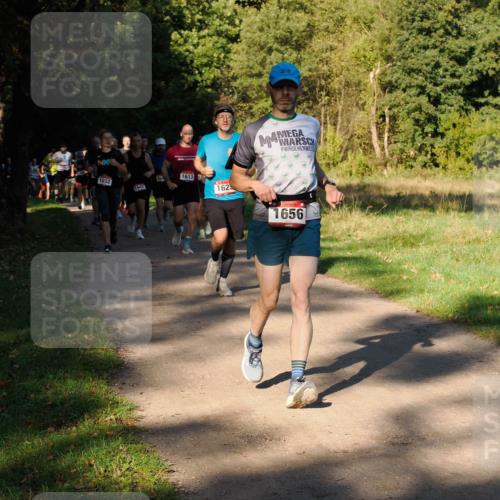 28.09.2025 - 33. Volkslauf durch das schöne Alstertal Fabian Wolf http://msf.ph/oto/8978235 28.09.2025 10:05:12 Laufen 1032, 164, 1613, 1642, 1625, 1656 meine-sportfotos.de