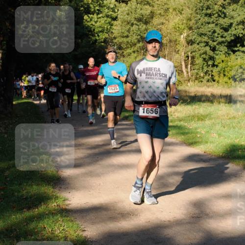 28.09.2025 - 33. Volkslauf durch das schöne Alstertal Fabian Wolf http://msf.ph/oto/8978236 28.09.2025 10:05:12 Laufen 1032, 1642, 1613, 1625, 1656 meine-sportfotos.de