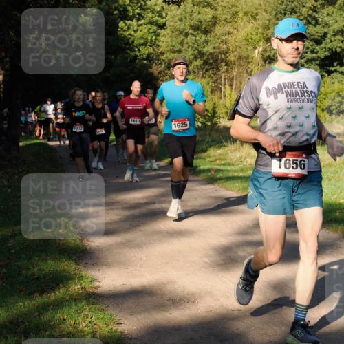 28.09.2025 - 33. Volkslauf durch das schöne Alstertal Fabian Wolf http://msf.ph/oto/8978239 28.09.2025 10:05:12 Laufen 1032, 1642, 1613, 1625, 1656 meine-sportfotos.de