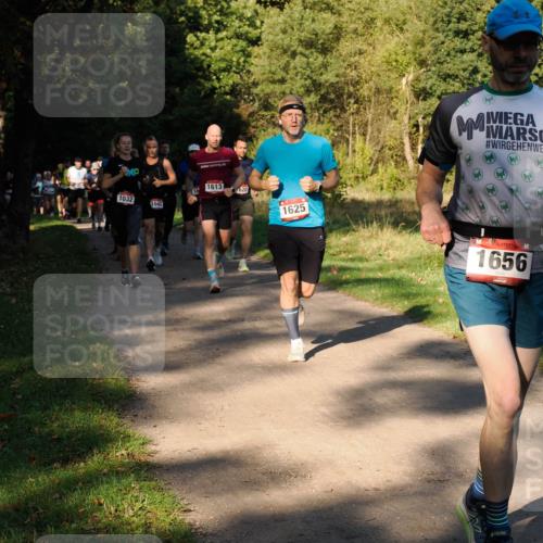 28.09.2025 - 33. Volkslauf durch das schöne Alstertal Fabian Wolf http://msf.ph/oto/8978240 28.09.2025 10:05:13 Laufen 1613, 16, 620, 1032, 1642, 1625, 1656 meine-sportfotos.de
