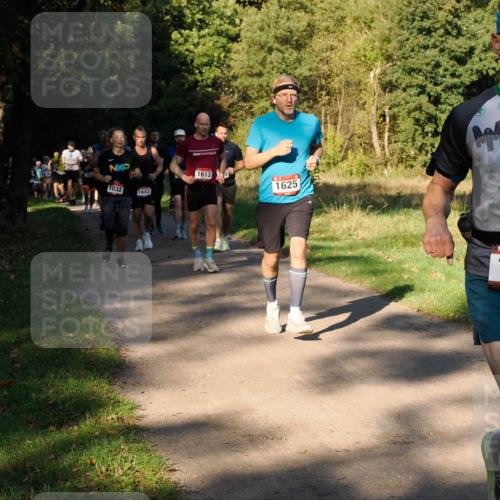 28.09.2025 - 33. Volkslauf durch das schöne Alstertal Fabian Wolf http://msf.ph/oto/8978241 28.09.2025 10:05:13 Laufen 1032, 1642, 1613, 1625 meine-sportfotos.de