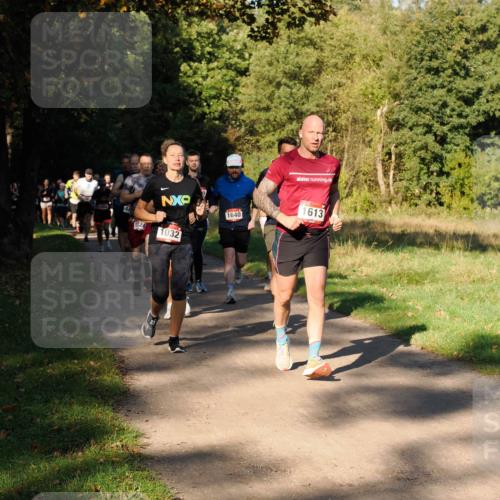 28.09.2025 - 33. Volkslauf durch das schöne Alstertal Fabian Wolf http://msf.ph/oto/8978245 28.09.2025 10:05:15 Laufen 18, 1124, 1032, 1640, 613 meine-sportfotos.de