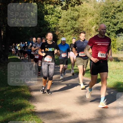 28.09.2025 - 33. Volkslauf durch das schöne Alstertal Fabian Wolf http://msf.ph/oto/8978249 28.09.2025 10:05:16 Laufen 182, 1640, 1724, 1032, 1620, 1613 meine-sportfotos.de