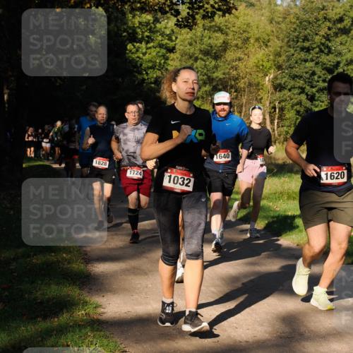 28.09.2025 - 33. Volkslauf durch das schöne Alstertal Fabian Wolf http://msf.ph/oto/8978252 28.09.2025 10:05:17 Laufen 1828, 1724, 1032, 1640, 1620 meine-sportfotos.de