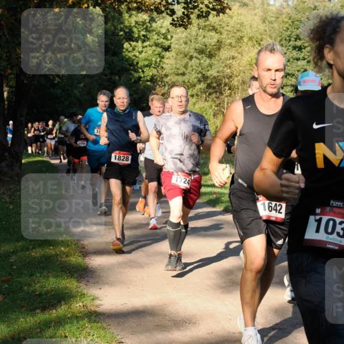 28.09.2025 - 33. Volkslauf durch das schöne Alstertal Fabian Wolf http://msf.ph/oto/8978258 28.09.2025 10:05:18 Laufen 094, 10, 1828, 1724, 1642, 103 meine-sportfotos.de