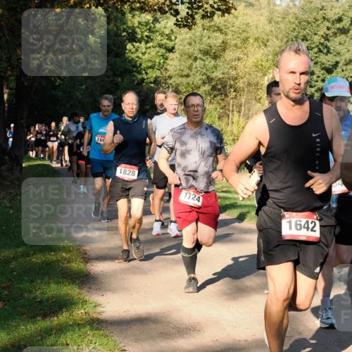28.09.2025 - 33. Volkslauf durch das schöne Alstertal Fabian Wolf http://msf.ph/oto/8978259 28.09.2025 10:05:19 Laufen 160, 1828, 1124, 1642 meine-sportfotos.de