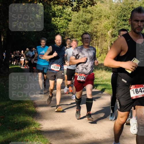 28.09.2025 - 33. Volkslauf durch das schöne Alstertal Fabian Wolf http://msf.ph/oto/8978260 28.09.2025 10:05:19 Laufen 109, 160, 1828, 162, 1724, 1642 meine-sportfotos.de