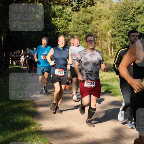 28.09.2025 - 33. Volkslauf durch das schöne Alstertal Fabian Wolf http://msf.ph/oto/8978261 28.09.2025 10:05:19 Laufen 1600, 1828, 161, 15, 1724 meine-sportfotos.de