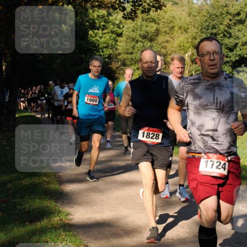 28.09.2025 - 33. Volkslauf durch das schöne Alstertal Fabian Wolf http://msf.ph/oto/8978265 28.09.2025 10:05:20 Laufen 1708, 10, 1600, 061, 1828, 1724 meine-sportfotos.de