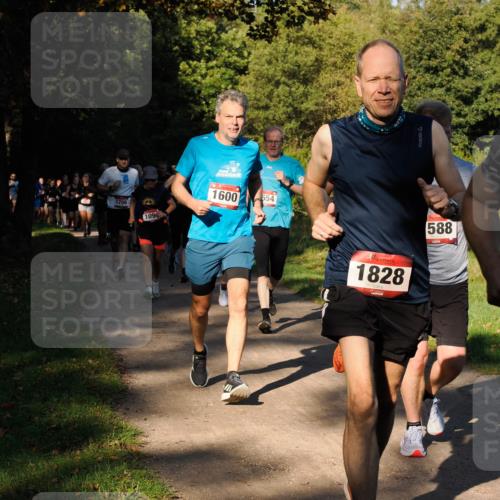 28.09.2025 - 33. Volkslauf durch das schöne Alstertal Fabian Wolf http://msf.ph/oto/8978267 28.09.2025 10:05:21 Laufen 1708, 109, 1600, 654, 1828, 588 meine-sportfotos.de