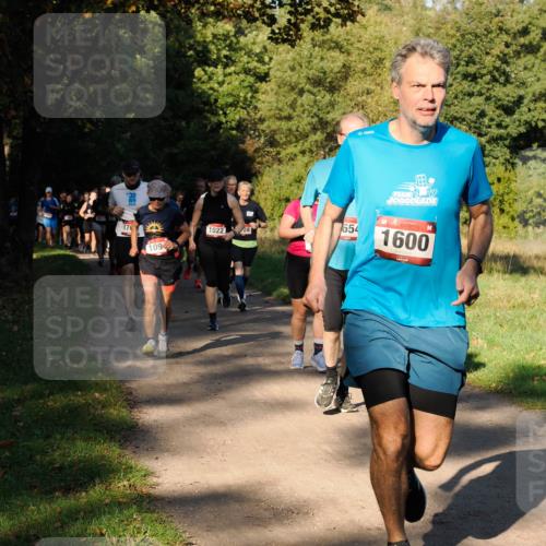 28.09.2025 - 33. Volkslauf durch das schöne Alstertal Fabian Wolf http://msf.ph/oto/8978269 28.09.2025 10:05:22 Laufen 1600, 654, 176, 1022, 1094 meine-sportfotos.de