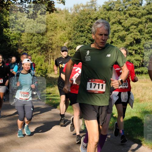 28.09.2025 - 33. Volkslauf durch das schöne Alstertal Fabian Wolf http://msf.ph/oto/8978277 28.09.2025 10:05:30 Laufen 71, 1047, 2025, 1711, 020 meine-sportfotos.de