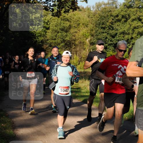 28.09.2025 - 33. Volkslauf durch das schöne Alstertal Fabian Wolf http://msf.ph/oto/8978279 28.09.2025 10:05:30 Laufen 1007, 1071, 168, 1047, 16 meine-sportfotos.de