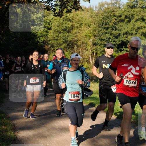 28.09.2025 - 33. Volkslauf durch das schöne Alstertal Fabian Wolf http://msf.ph/oto/8978280 28.09.2025 10:05:30 Laufen 1007, 1090, 1071, 88, 1047, 16, 1674 meine-sportfotos.de