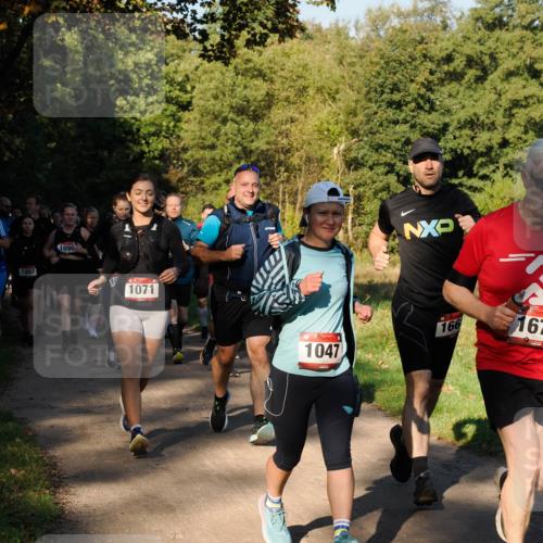 28.09.2025 - 33. Volkslauf durch das schöne Alstertal Fabian Wolf http://msf.ph/oto/8978281 28.09.2025 10:05:31 Laufen 1007, 1090, 10, 1071, 166, 1047, 167 meine-sportfotos.de