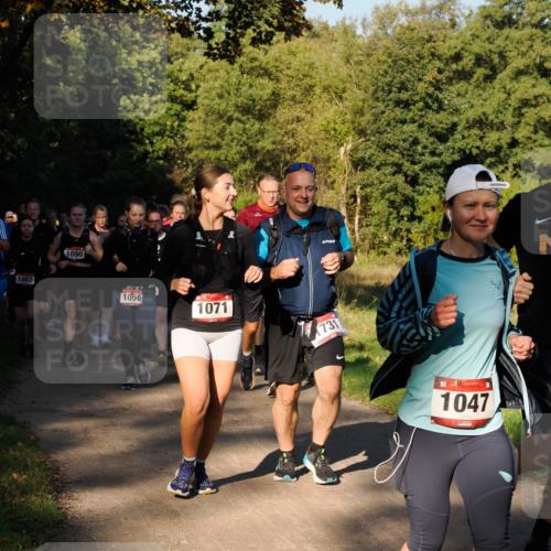 28.09.2025 - 33. Volkslauf durch das schöne Alstertal Fabian Wolf http://msf.ph/oto/8978284 28.09.2025 10:05:31 Laufen 1007, 1090, 1056, 1071, 731, 1047 meine-sportfotos.de