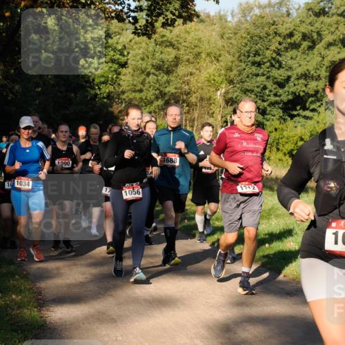 28.09.2025 - 33. Volkslauf durch das schöne Alstertal Fabian Wolf http://msf.ph/oto/8978292 28.09.2025 10:05:33 Laufen 1034, 1990, 17, 1056, 1688, 10 meine-sportfotos.de