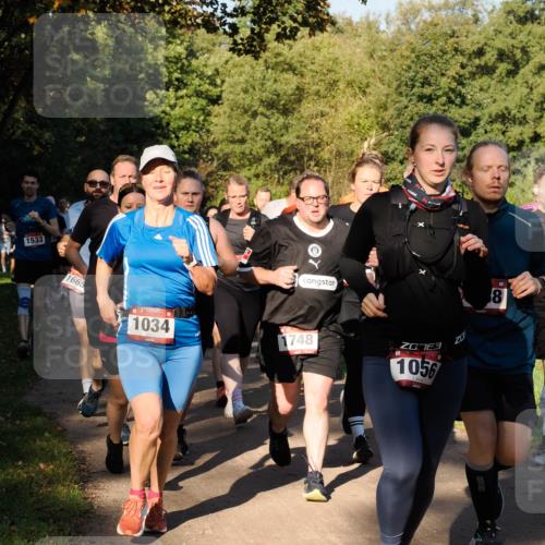 28.09.2025 - 33. Volkslauf durch das schöne Alstertal Fabian Wolf http://msf.ph/oto/8978297 28.09.2025 10:05:35 Laufen 1533, 1665, 1034, 1748, 1056, 8 meine-sportfotos.de