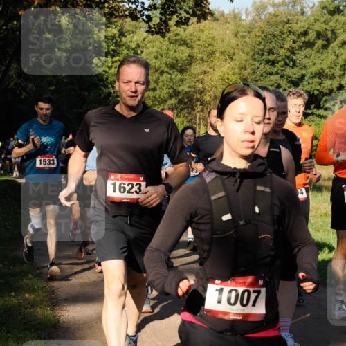 28.09.2025 - 33. Volkslauf durch das schöne Alstertal Fabian Wolf http://msf.ph/oto/8978306 28.09.2025 10:05:36 Laufen 1533, 1623, 162, 1007, 4 meine-sportfotos.de