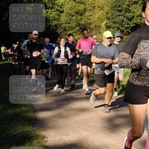 28.09.2025 - 33. Volkslauf durch das schöne Alstertal Fabian Wolf http://msf.ph/oto/8978307 28.09.2025 10:05:40 Laufen 1036, 183, 1081, 645, 58, 1769, 93 meine-sportfotos.de