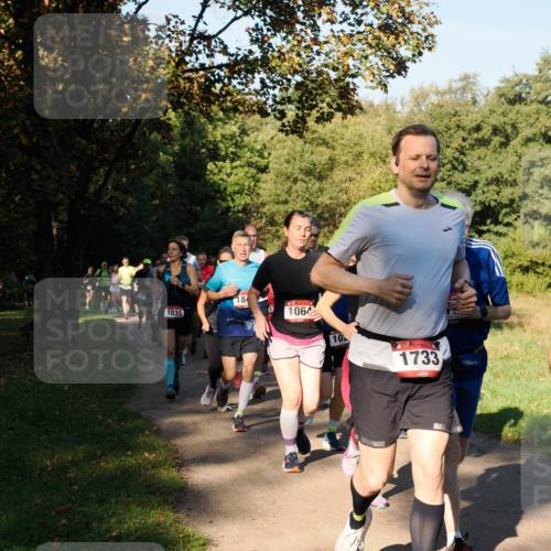 28.09.2025 - 33. Volkslauf durch das schöne Alstertal Fabian Wolf http://msf.ph/oto/8978311 28.09.2025 10:05:44 Laufen 1035, 18, 1064, 10, 1733 meine-sportfotos.de