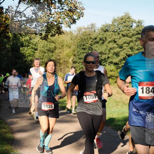 28.09.2025 - 33. Volkslauf durch das schöne Alstertal Fabian Wolf http://msf.ph/oto/8978324 28.09.2025 10:05:47 Laufen 1671, 1035, 1059, 184 meine-sportfotos.de