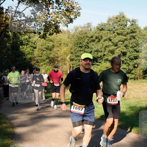 28.09.2025 - 33. Volkslauf durch das schöne Alstertal Fabian Wolf http://msf.ph/oto/8978345 28.09.2025 10:05:53 Laufen 1089, 1659, 1097, 023, 1566, 1579, 1697, 1732 meine-sportfotos.de