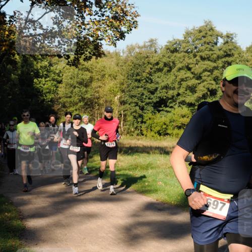28.09.2025 - 33. Volkslauf durch das schöne Alstertal Fabian Wolf http://msf.ph/oto/8978348 28.09.2025 10:05:54 Laufen 1089, 1659, 1097, 1566, 1579, 697 meine-sportfotos.de