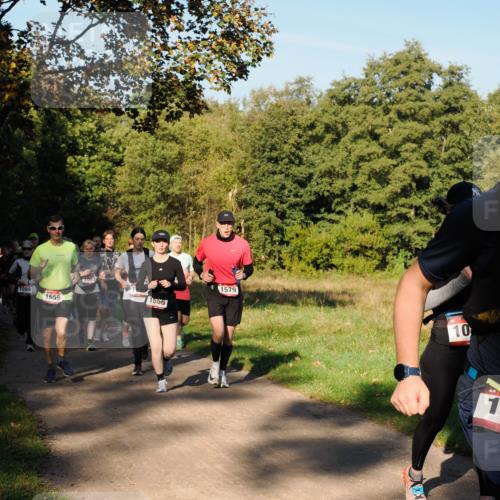 28.09.2025 - 33. Volkslauf durch das schöne Alstertal Fabian Wolf http://msf.ph/oto/8978349 28.09.2025 10:05:54 Laufen 1089, 1659, 1097, 1566, 1579, 10, 1 meine-sportfotos.de
