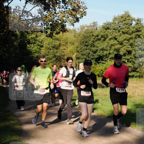 28.09.2025 - 33. Volkslauf durch das schöne Alstertal Fabian Wolf http://msf.ph/oto/8978350 28.09.2025 10:05:56 Laufen 1889, 1659, 1066, 1579, 1566 meine-sportfotos.de