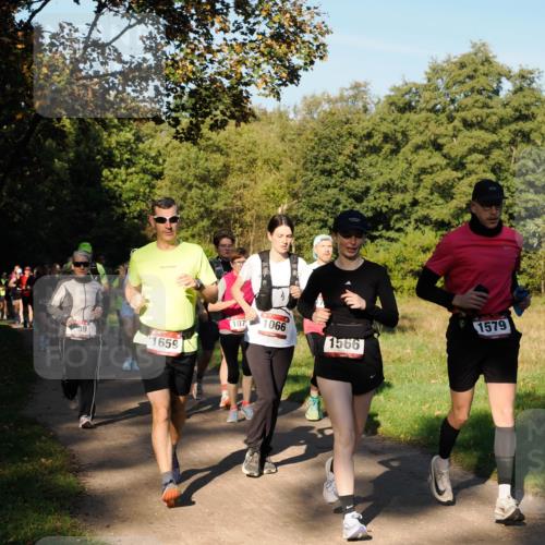 28.09.2025 - 33. Volkslauf durch das schöne Alstertal Fabian Wolf http://msf.ph/oto/8978351 28.09.2025 10:05:56 Laufen 89, 1659, 107, 1579, 1066, 1566 meine-sportfotos.de
