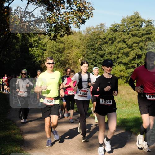 28.09.2025 - 33. Volkslauf durch das schöne Alstertal Fabian Wolf http://msf.ph/oto/8978352 28.09.2025 10:05:56 Laufen 1100, 1089, 1659, 24, 1, 1075, 1066, 1566, 1579 meine-sportfotos.de