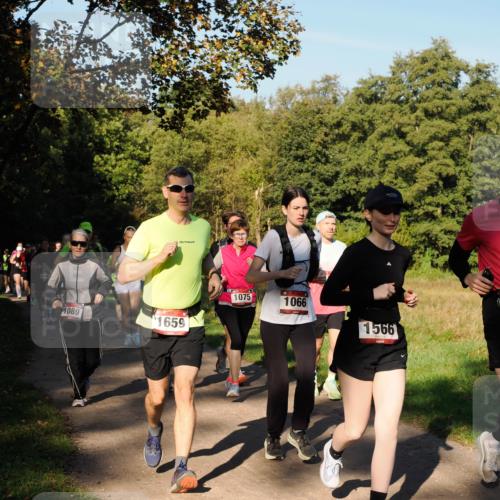 28.09.2025 - 33. Volkslauf durch das schöne Alstertal Fabian Wolf http://msf.ph/oto/8978353 28.09.2025 10:05:57 Laufen 1100, 1089, 1659, 1075, 1066, 1566 meine-sportfotos.de
