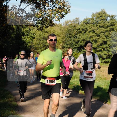 28.09.2025 - 33. Volkslauf durch das schöne Alstertal Fabian Wolf http://msf.ph/oto/8978356 28.09.2025 10:05:57 Laufen 1300, 1100, 1089, 1659, 75, 1066 meine-sportfotos.de