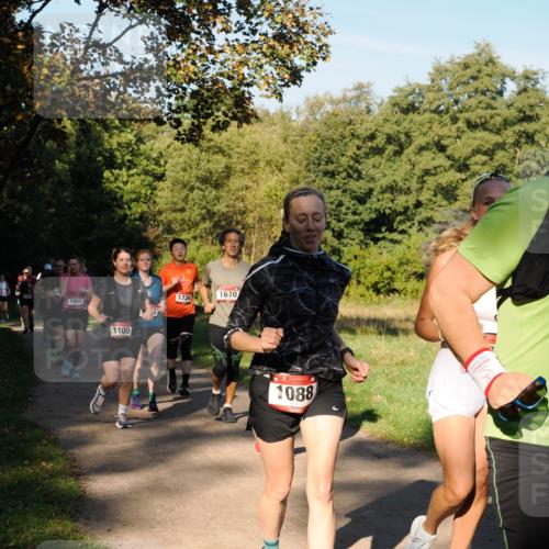 28.09.2025 - 33. Volkslauf durch das schöne Alstertal Fabian Wolf http://msf.ph/oto/8978362 28.09.2025 10:06:01 Laufen 11, 1085, 1100, 1670, 1726, 1088 meine-sportfotos.de