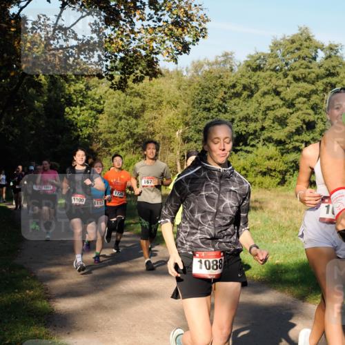 28.09.2025 - 33. Volkslauf durch das schöne Alstertal Fabian Wolf http://msf.ph/oto/8978363 28.09.2025 10:06:02 Laufen 167, 1650, 1085, 1726, 1100, 1112, 1088, 10 meine-sportfotos.de