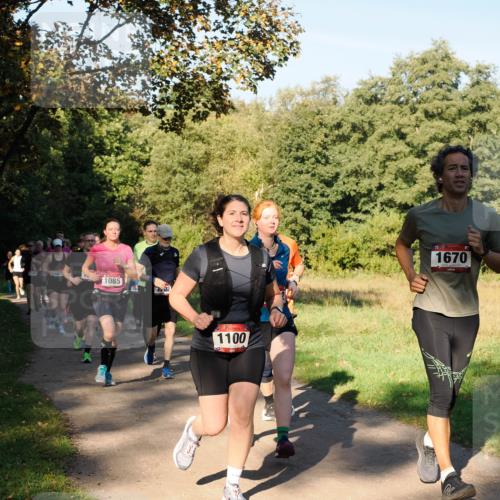 28.09.2025 - 33. Volkslauf durch das schöne Alstertal Fabian Wolf http://msf.ph/oto/8978367 28.09.2025 10:06:04 Laufen 1108, 107, 1085, 02, 1100, 1670 meine-sportfotos.de
