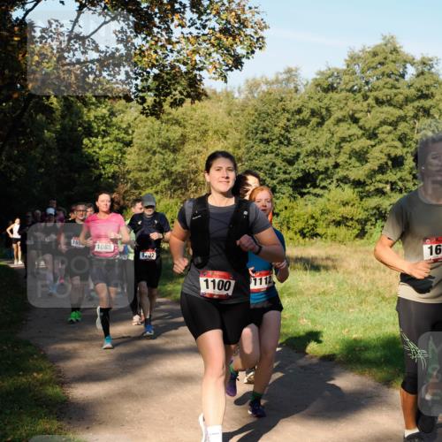 28.09.2025 - 33. Volkslauf durch das schöne Alstertal Fabian Wolf http://msf.ph/oto/8978368 28.09.2025 10:06:04 Laufen 10, 165, 1085, 761702, 1100, 111, 16 meine-sportfotos.de
