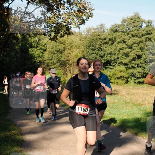 28.09.2025 - 33. Volkslauf durch das schöne Alstertal Fabian Wolf http://msf.ph/oto/8978369 28.09.2025 10:06:04 Laufen 110, 1072, 1650, 1085, 702, 1100 meine-sportfotos.de