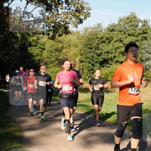 28.09.2025 - 33. Volkslauf durch das schöne Alstertal Fabian Wolf http://msf.ph/oto/8978371 28.09.2025 10:06:06 Laufen 1072, 1720, 1650, 076, 1085, 103, 1726 meine-sportfotos.de