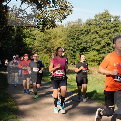 28.09.2025 - 33. Volkslauf durch das schöne Alstertal Fabian Wolf http://msf.ph/oto/8978372 28.09.2025 10:06:06 Laufen 1072, 172, 1650, 1085, 1030, 172 meine-sportfotos.de