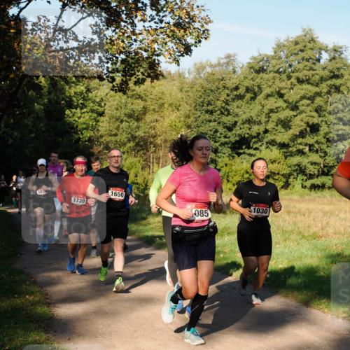 28.09.2025 - 33. Volkslauf durch das schöne Alstertal Fabian Wolf http://msf.ph/oto/8978373 28.09.2025 10:06:06 Laufen 107, 1720, 1650, 1030, 085 meine-sportfotos.de