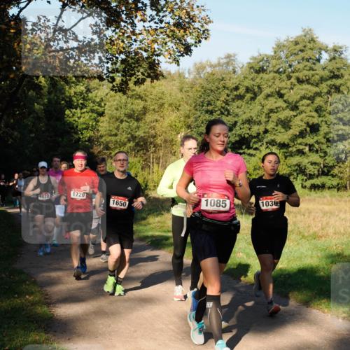 28.09.2025 - 33. Volkslauf durch das schöne Alstertal Fabian Wolf http://msf.ph/oto/8978374 28.09.2025 10:06:06 Laufen 1720, 1072, 1650, 1085, 103, 20 meine-sportfotos.de