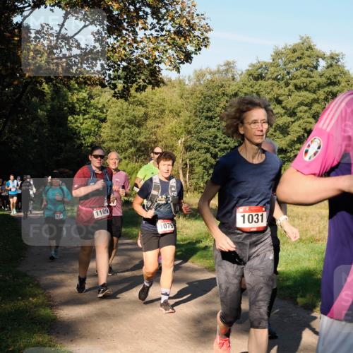 28.09.2025 - 33. Volkslauf durch das schöne Alstertal Fabian Wolf http://msf.ph/oto/8978378 28.09.2025 10:06:12 Laufen 101, 1109, 1079, 1031 meine-sportfotos.de