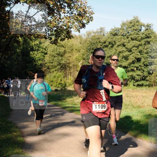 28.09.2025 - 33. Volkslauf durch das schöne Alstertal Fabian Wolf http://msf.ph/oto/8978382 28.09.2025 10:06:14 Laufen 1120, 175, 101, 1109 meine-sportfotos.de
