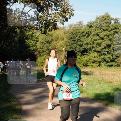 28.09.2025 - 33. Volkslauf durch das schöne Alstertal Fabian Wolf http://msf.ph/oto/8978386 28.09.2025 10:06:15 Laufen 1120, 1756, 2572, 101, 2014 meine-sportfotos.de