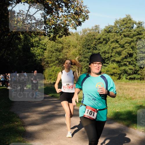 28.09.2025 - 33. Volkslauf durch das schöne Alstertal Fabian Wolf http://msf.ph/oto/8978387 28.09.2025 10:06:16 Laufen 1745, 1120, 1756, 2572, 20, 101, 129 meine-sportfotos.de