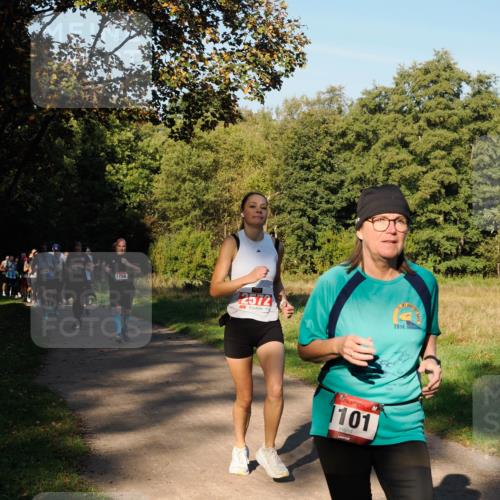 28.09.2025 - 33. Volkslauf durch das schöne Alstertal Fabian Wolf http://msf.ph/oto/8978388 28.09.2025 10:06:16 Laufen 1745, 1756, 2572, 2014, 101, 1929 meine-sportfotos.de