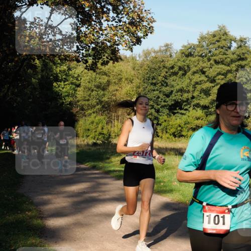 28.09.2025 - 33. Volkslauf durch das schöne Alstertal Fabian Wolf http://msf.ph/oto/8978389 28.09.2025 10:06:16 Laufen 1745, 1120, 1756, 4572, 101, 2014 meine-sportfotos.de